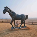 충청남도 서산시 운산면 홍안벌로 651 주소 검색 결과 1곳 - 다이닝코드