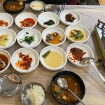 강진 계절메뉴 맛집 Top16 - 다이닝코드
