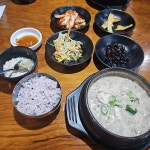 양재역 비지찌개 맛집 Top5 - 다이닝코드