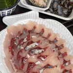 청호활어회센터 - 속초 횟집 맛집 - 다이닝코드