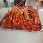 선화네 - 주문진 홍게, 대게 맛집 - 다이닝코드