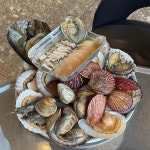 송도통큰조개 - 부산송도 조개탕, 조개구이 맛집 - 다이닝코드