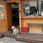 서울특별시 성북구 보문로15길 식당명 검색 결과 2곳 - 다이닝코드