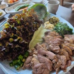 도안동감나무집 세종시점 - 세종 오리수육, 오리누룽지백숙 맛집 - 다이닝코드