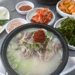 경남 창원시 마산합포구 교방동 맛집 Top100 - 다이닝코드