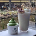 제주 서귀포시 안덕면 서광리 맛집 Top100 - 다이닝코드