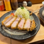 광안리 돈까스 맛집 Top100 - 다이닝코드