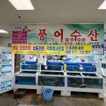 풍어수산 - 삼산 횟집, 모듬회 맛집 - 다이닝코드