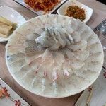 다대횟집 - 다대포 생선회, 횟집 맛집 - 다이닝코드
