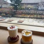 짬뽕전문점 - 홍천 짬뽕, 짬뽕전문점 맛집 - 다이닝코드