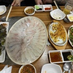 대박이회 - 광명 횟집, 꼼장어 맛집 - 다이닝코드