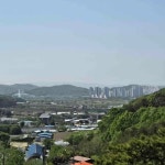 세종특별자치시 금남면 발산3길 맛집 Top2 - 다이닝코드
