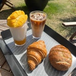 제주똥돼지 - 화정 삼겹살, 돌판삼겹살 맛집 - 다이닝코드