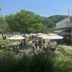 담소 소사골 순대 육개장 충무로점 - 충무로 순대국 맛집 - 다이닝코드