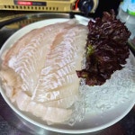 회밀리가떴다 - 속초 횟집, 해물요리 맛집 - 다이닝코드