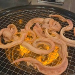 수빈식당 - 석촌역 쭈꾸미, 숯불쭈꾸미 맛집 - 다이닝코드