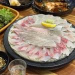 강구바다 - 대구달서구 생선회, 횟집 맛집 - 다이닝코드