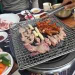 청정숯불아나고곰장어 대구fc아레나점 - 대구북구 꼼장어, 아나고 맛집 - 다이닝코드