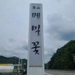 춘산메밀꽃 - 공주 막국수, 메밀막국수 맛집 - 다이닝코드