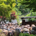 동명주말농장 - 팔공산 오리고기 맛집 - 다이닝코드