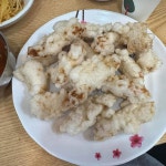 대전광역시 동구 동대전로 맛집 Top100 - 다이닝코드