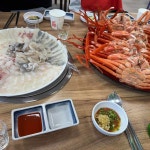 동우수산 - 삼척 횟집, 오징어 맛집 - 다이닝코드