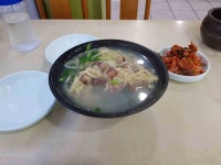 조양동 면요리 20대 50대 빅데이터 맛집 검색결과 - 다이닝코드
