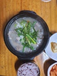 신동 아침식사 40대 빅데이터 맛집 검색결과 - 다이닝코드