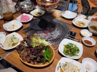 50대 놀이방 콜키지무료 빅데이터 맛집 검색결과 - 다이닝코드