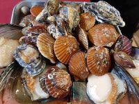 신흑동 술모임 40대 빅데이터 맛집 검색결과 - 다이닝코드