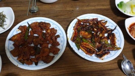 보은군 한식 깔끔한 50대 빅데이터 맛집 검색결과 - 다이닝코드