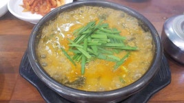 여성 30대 밥집 VJ특공대 빅데이터 맛집 검색결과 - 다이닝코드
