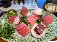 횟집 VJ특공대 가족외식 빅데이터 맛집 검색결과 - 다이닝코드