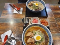 '술집 일식 50대 면요리' 빅데이터 맛집 검색결과 - 다이닝코드