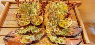 40대 생활의달인 접대 저녁식사 가족외식 빅데이터 맛집 검색결과 - 다이닝코드