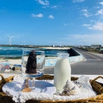 이색적인 50대 반려동물동반 빅데이터 맛집 검색결과 - 다이닝코드