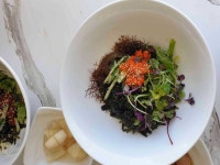전라남도 진도군 여성 50대 빅데이터 맛집 검색결과 - 다이닝코드
