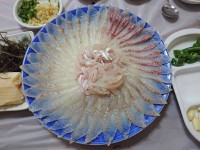 40대 해산물 접대 저녁식사 건강식 빅데이터 맛집 검색결과 - 다이닝코드