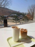 신풍동 혼카페 맛집 빅데이터 추천순위 Top7 - 다이닝코드