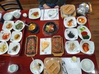 50대 반려동물동반 접대 빅데이터 맛집 검색결과 - 다이닝코드