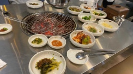 40대 반려동물동반 회식 빅데이터 맛집 검색결과 - 다이닝코드