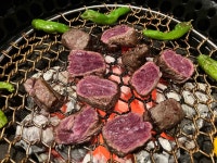 30대 이색적인 콜키지무료 빅데이터 맛집 검색결과 - 다이닝코드