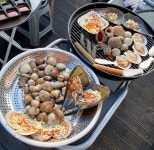 횟집 술집 밥집 배달 면요리 빅데이터 맛집 검색결과 - 다이닝코드