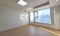 서울특별시 서초구 서초동, 오피스텔 월세 [다방] 서울특별시 서초구 서초동, 오피스텔 월세 1000/80