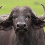 Enbridge Inc (ENB) 재무 요약 - Investing.com