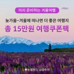줌줌투어 - 신나는 여행의 발견