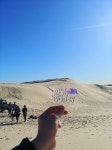 줌줌 후기: >무료워킹투어<[지그재그투어]포트스테판 돌핀크루즈 + 사막 투어 - 양지* 줌줌 후기:  >무료워킹투어<[지그재그투어]포트스테판... 
