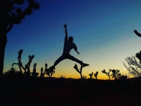 줌줌투어 여행후기:  [모아트립] 조슈아트리 어드벤쳐 1일 (매일 출발, 단1명도 출발) - 곽현*