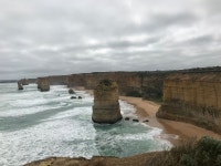 줌줌 후기: ((땡스투어/찐3대장))그레이트오션+퍼핑빌리,펭귄퍼레이드/일정확인필수(+시티투어) - Un* 줌줌 후기:  ((땡스투어/찐3대장)... 