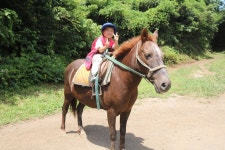 [서귀포시] 이어도 승마장 - Ja********* - 줌줌투어